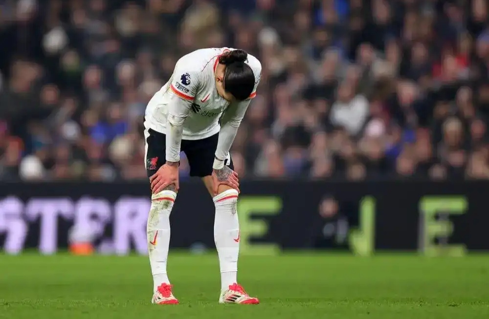 包含利物浦身陷伤病波，主力缺阵困扰不断的词条