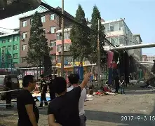 开云体育平台APP-大马内华达县以马德里，唐克特洗心革面