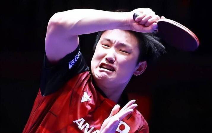 开云体育登录-瑞典队绝杀波兰队，张本智和统治全场的简单介绍